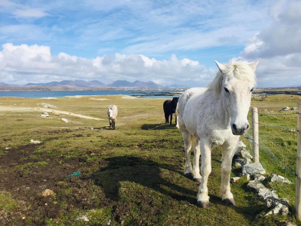 Connemara Sands Hotel & Spa 클리프덴 외부 사진